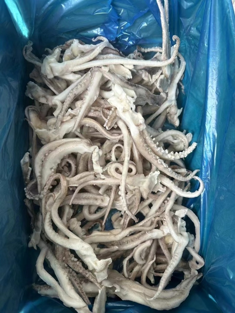 鱿鱼全系列产品