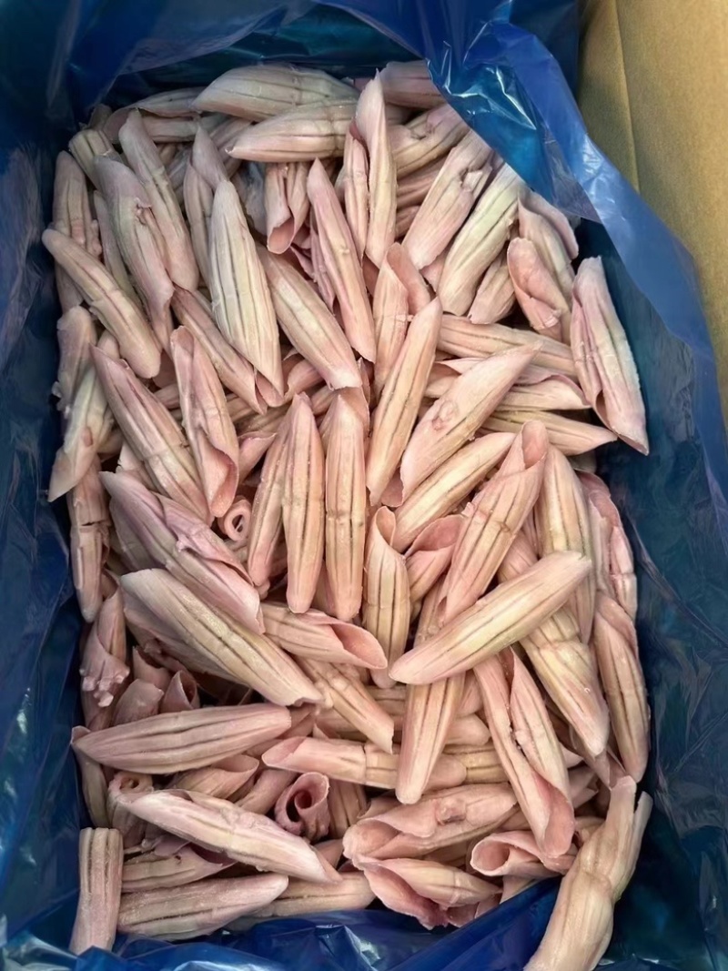 鱿鱼全系列产品