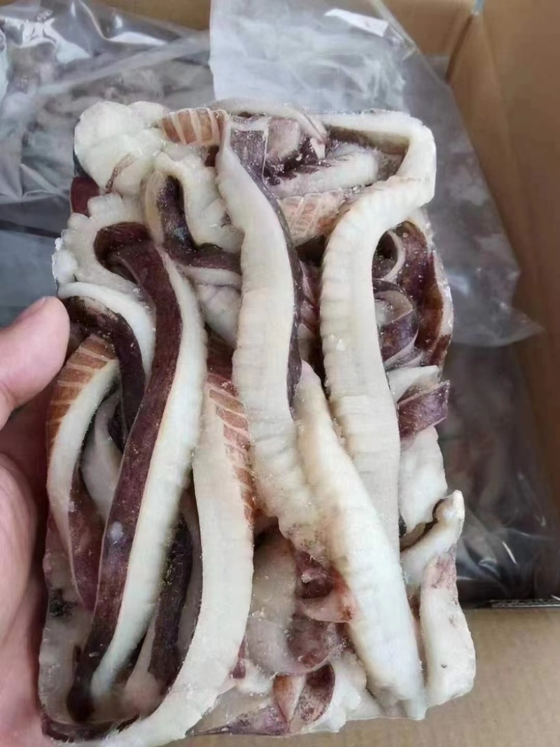鱿鱼全系列产品