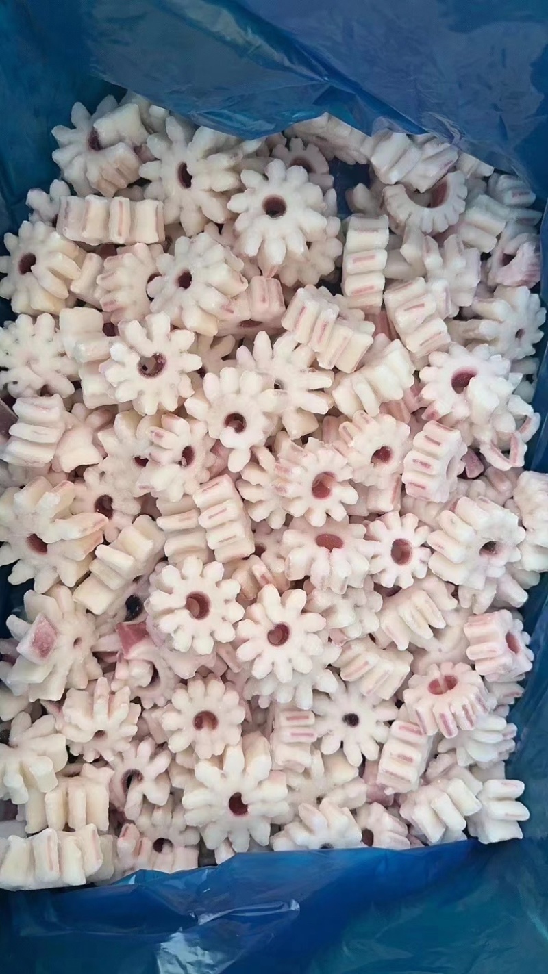 鱿鱼全系列产品