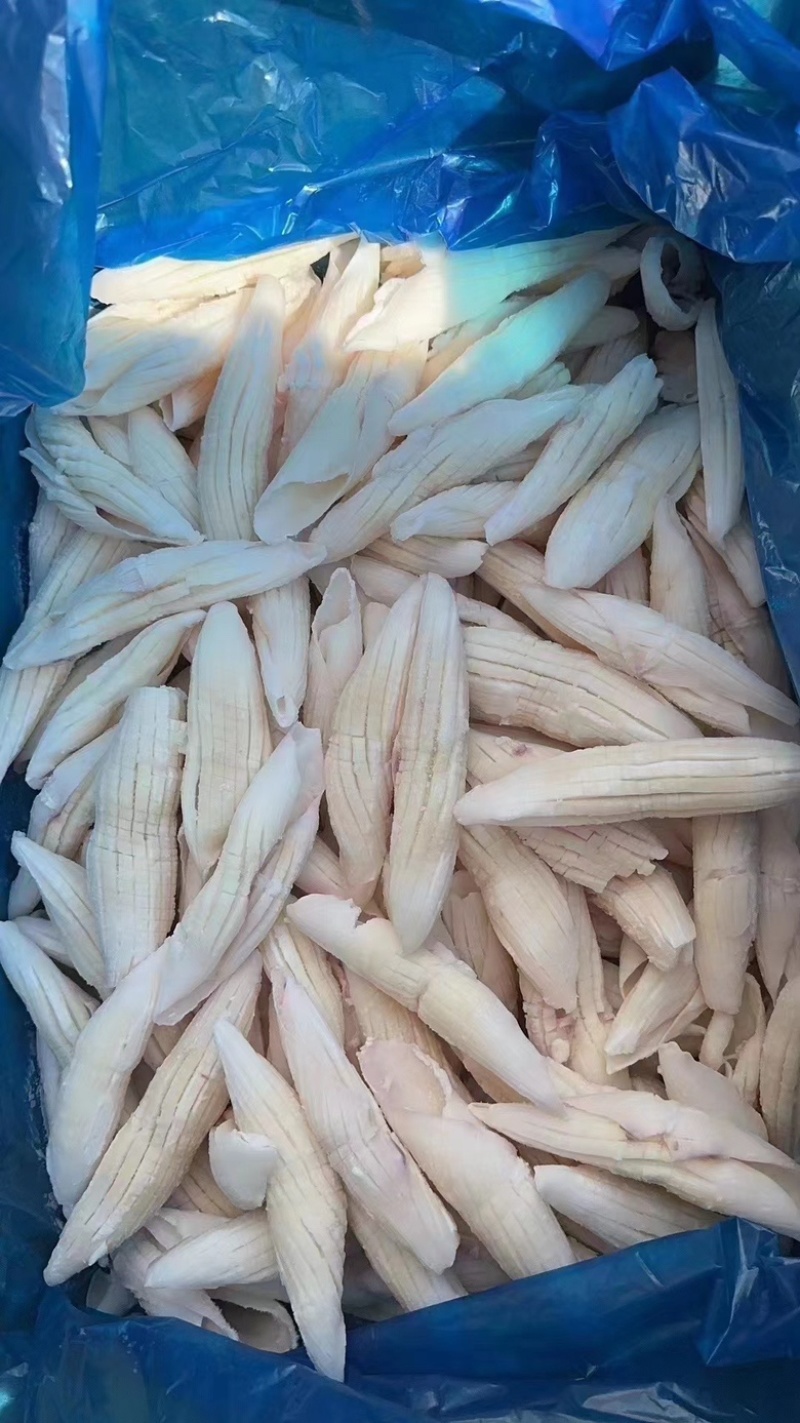 鱿鱼全系列产品