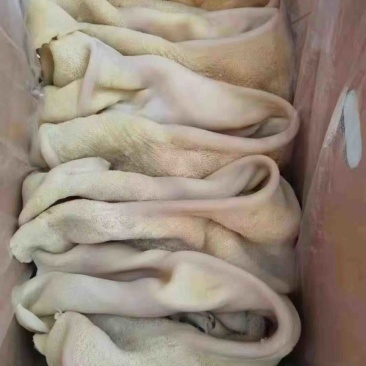 熟牛肚