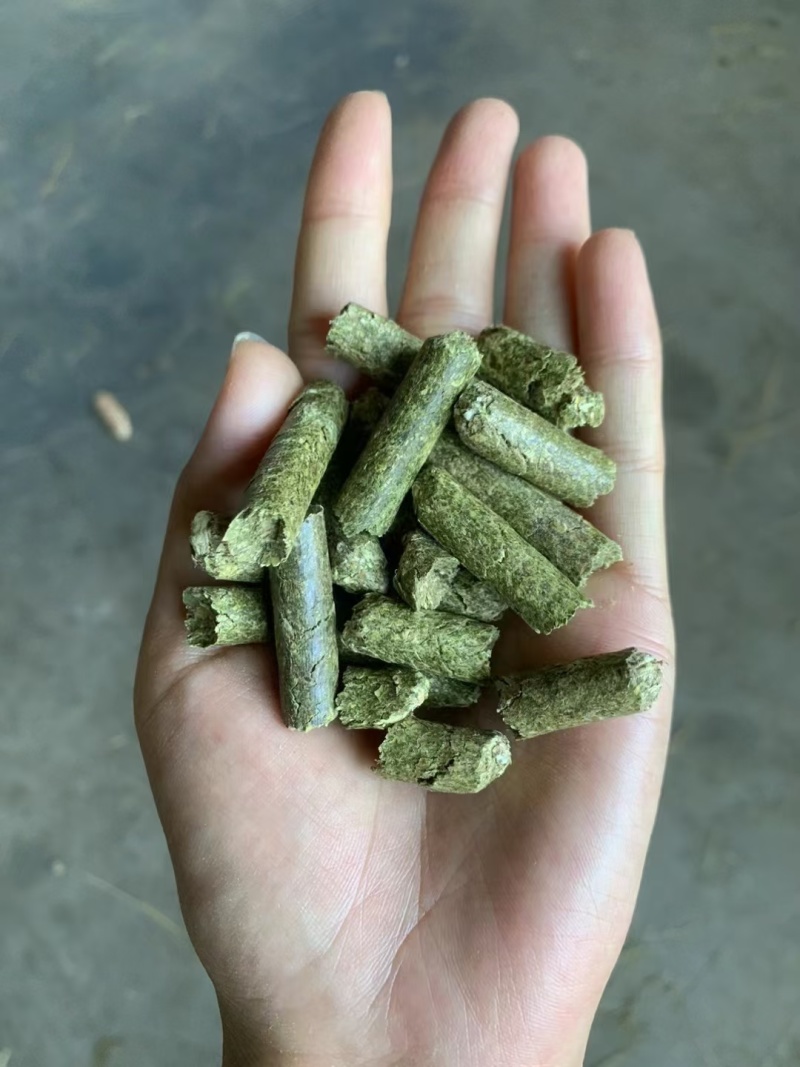 苜蓿颗粒
