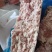 肉沫精肉
