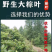 槲叶晾干大号精选河南粽叶端午节包粽子叶子菠萝叶