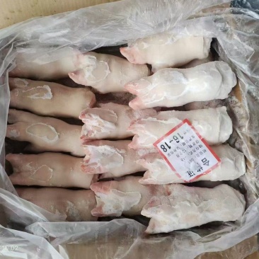 调理品猪手规格齐全