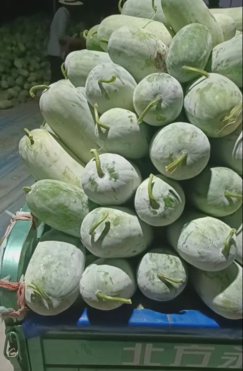 【推荐】河南漯河水果冬瓜冬瓜供应市场商超电商量大价优