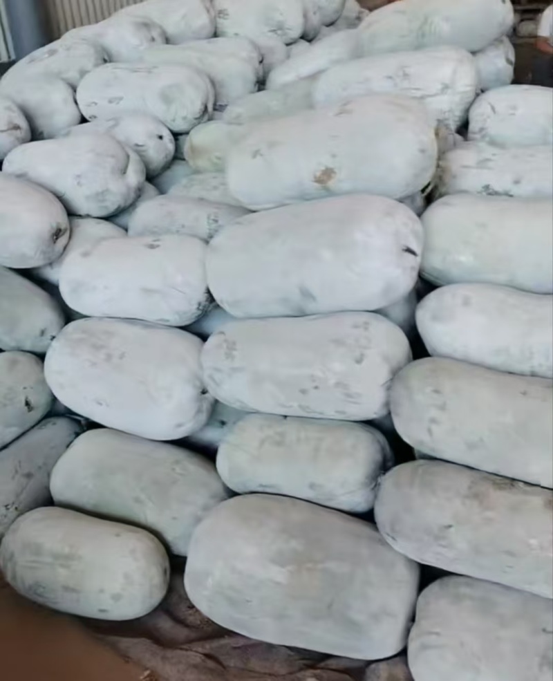 【推荐】河南漯河水果冬瓜冬瓜供应市场商超电商量大价优
