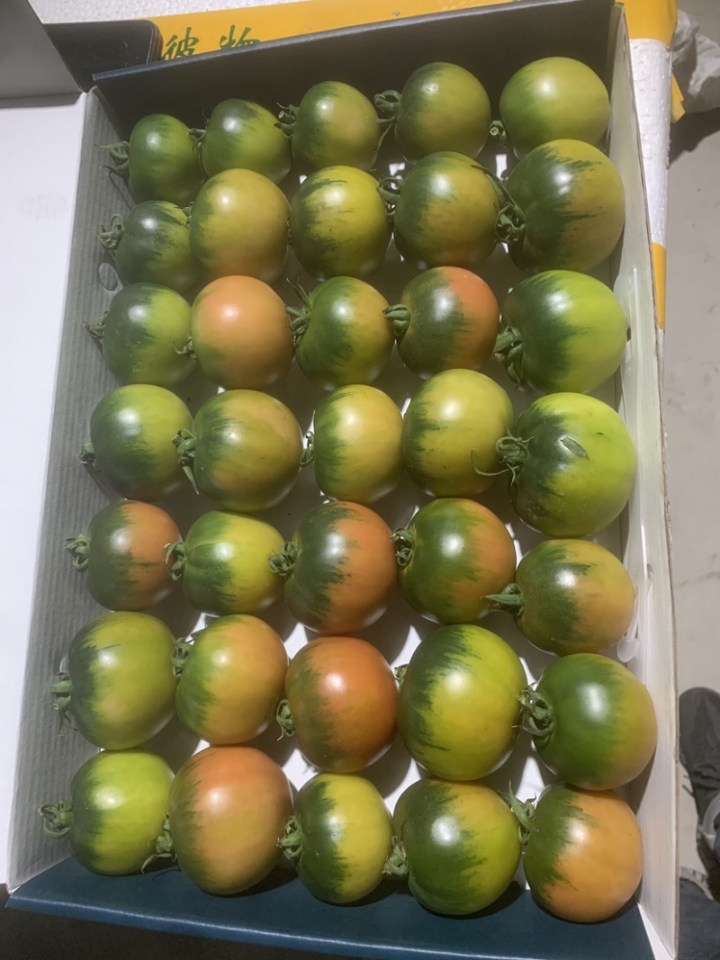 草莓柿子番茄基地直发大量上市欢迎对接