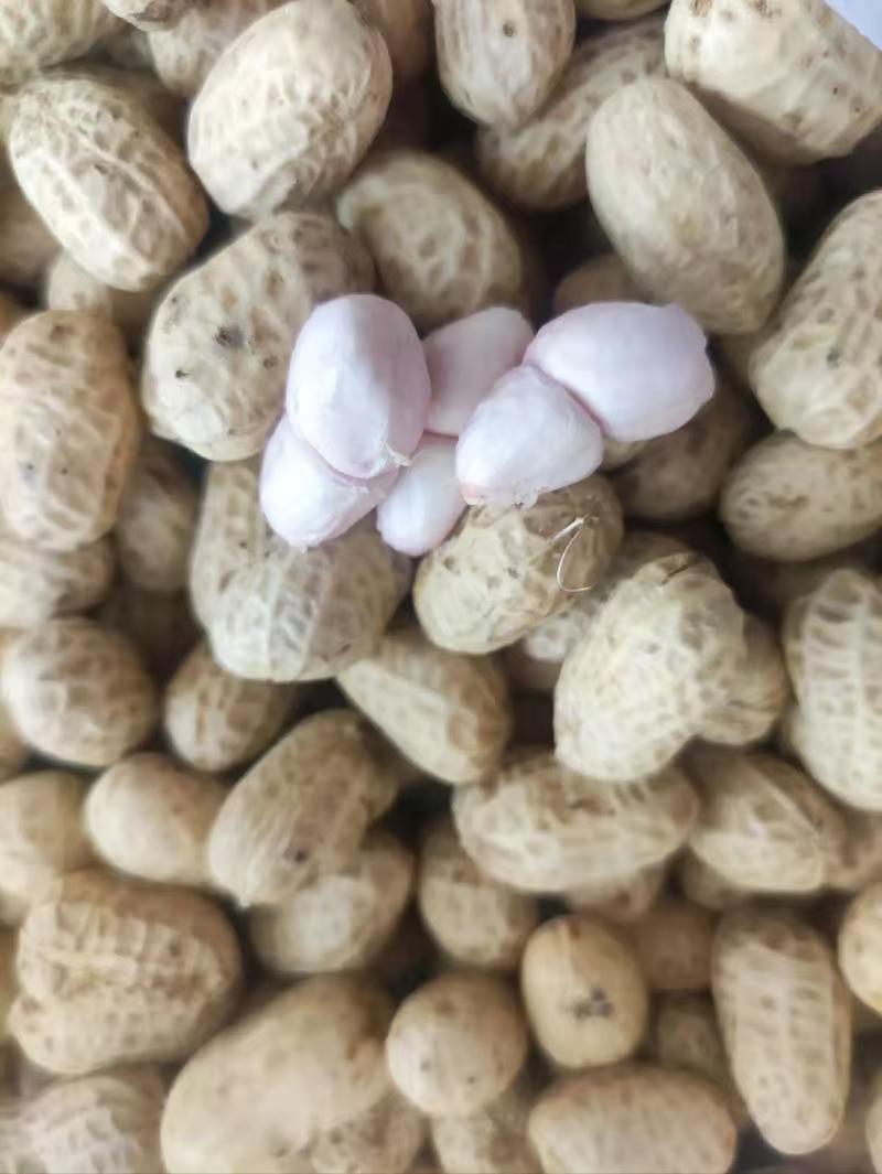 鲜花生