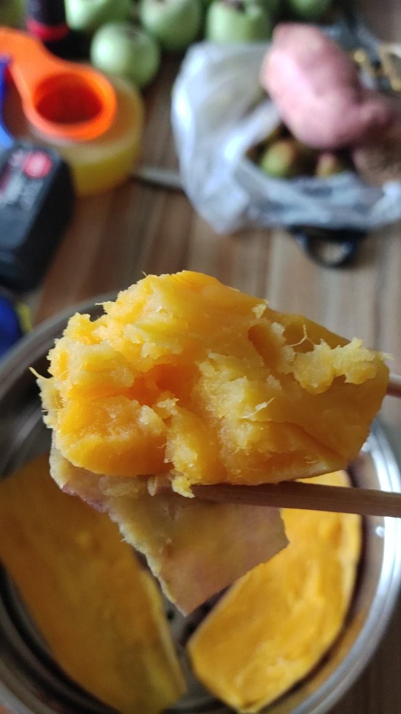 龙九红薯