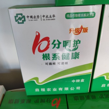 呵护根系健康