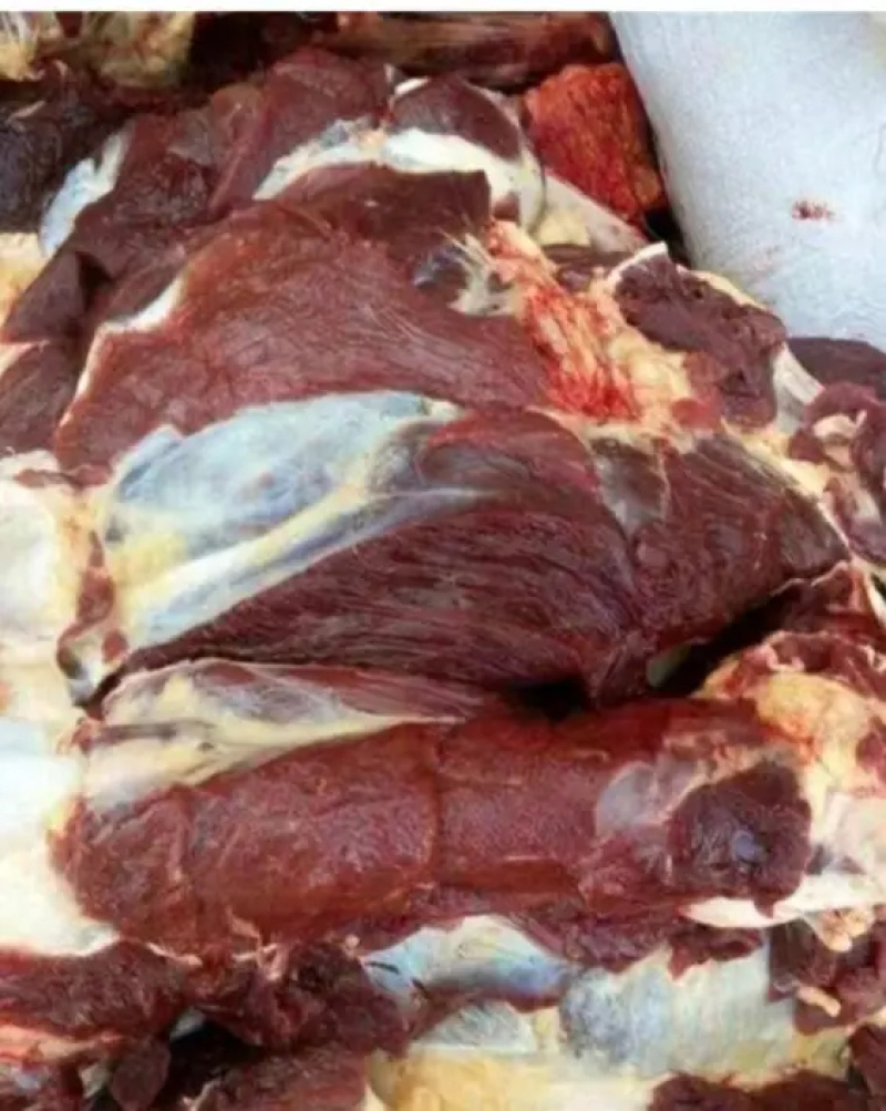 青海牦牛肉/牦牛肉/万亩草原/肉质好口感佳/产地直发