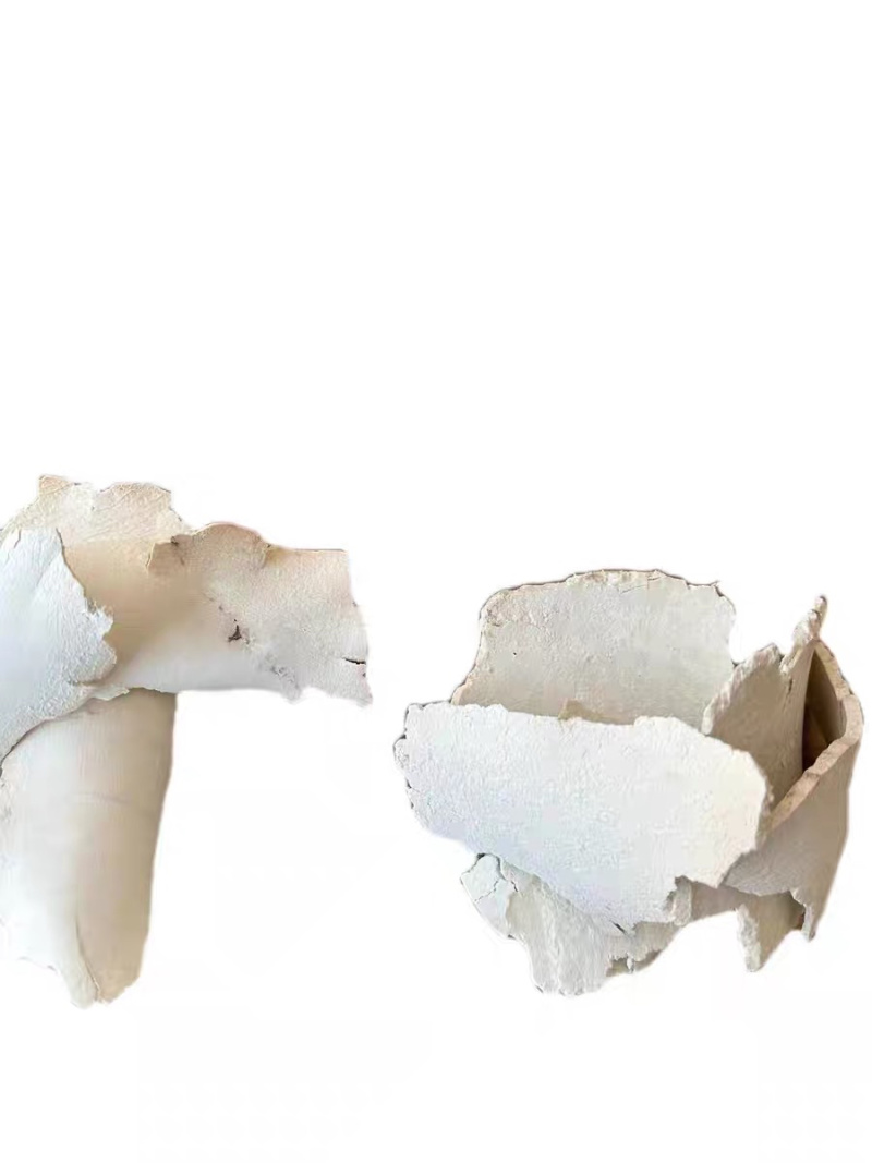 茯苓碎片