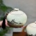 白毫银针