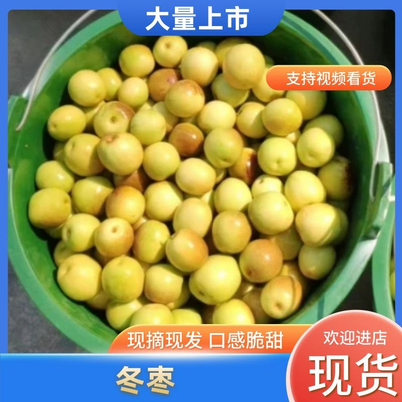 陕西渭南冬枣个大味甜大量出货保质保量