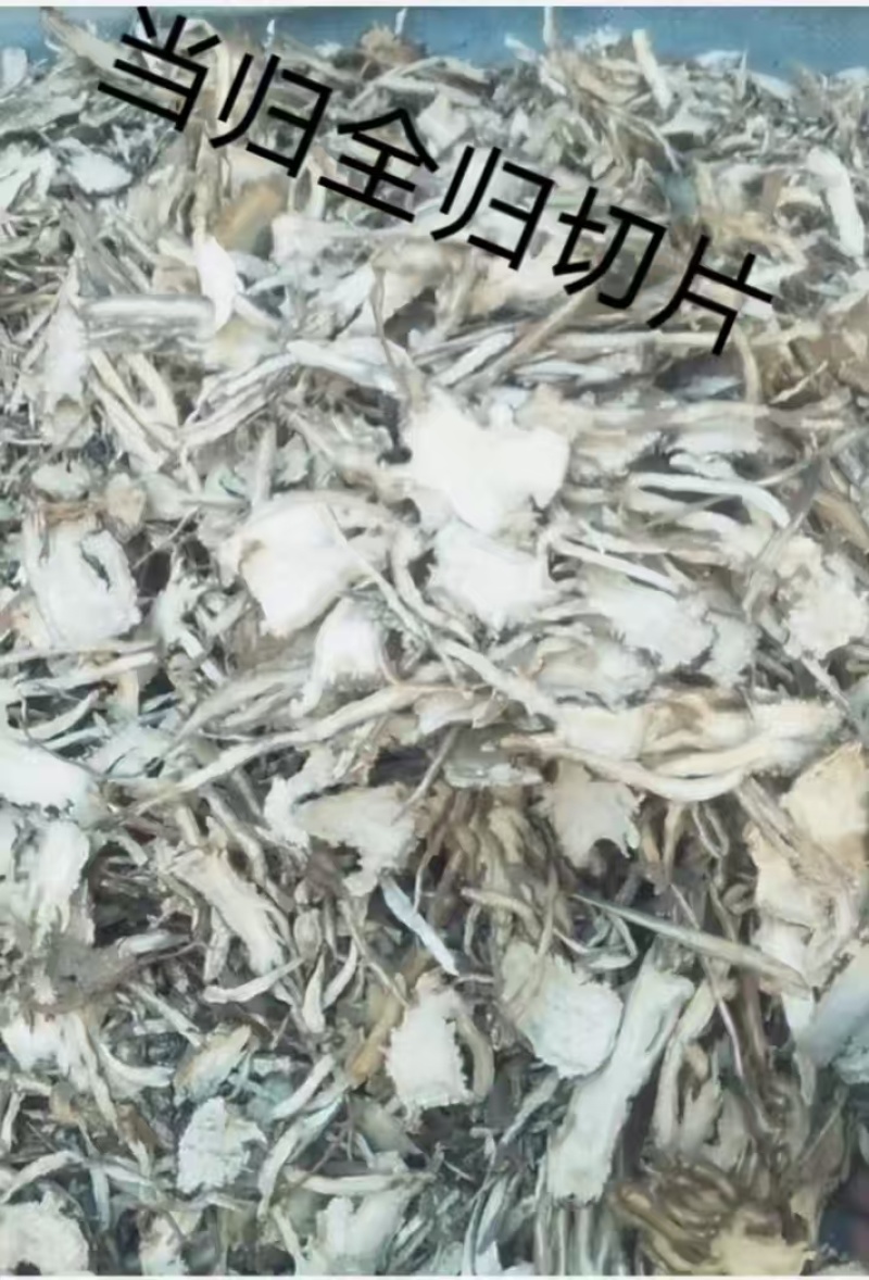 【当归】规格齐全货源充足量大从优1000以上市场价