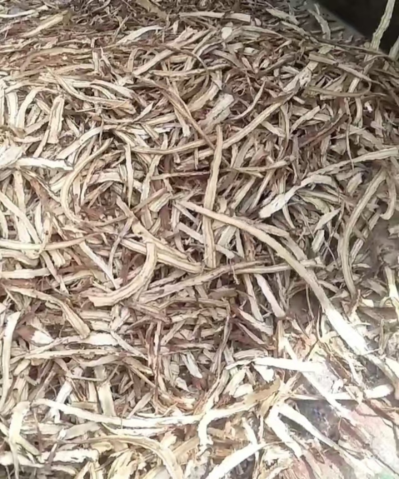 【当归】规格齐全货源充足量大从优1000以上市场价