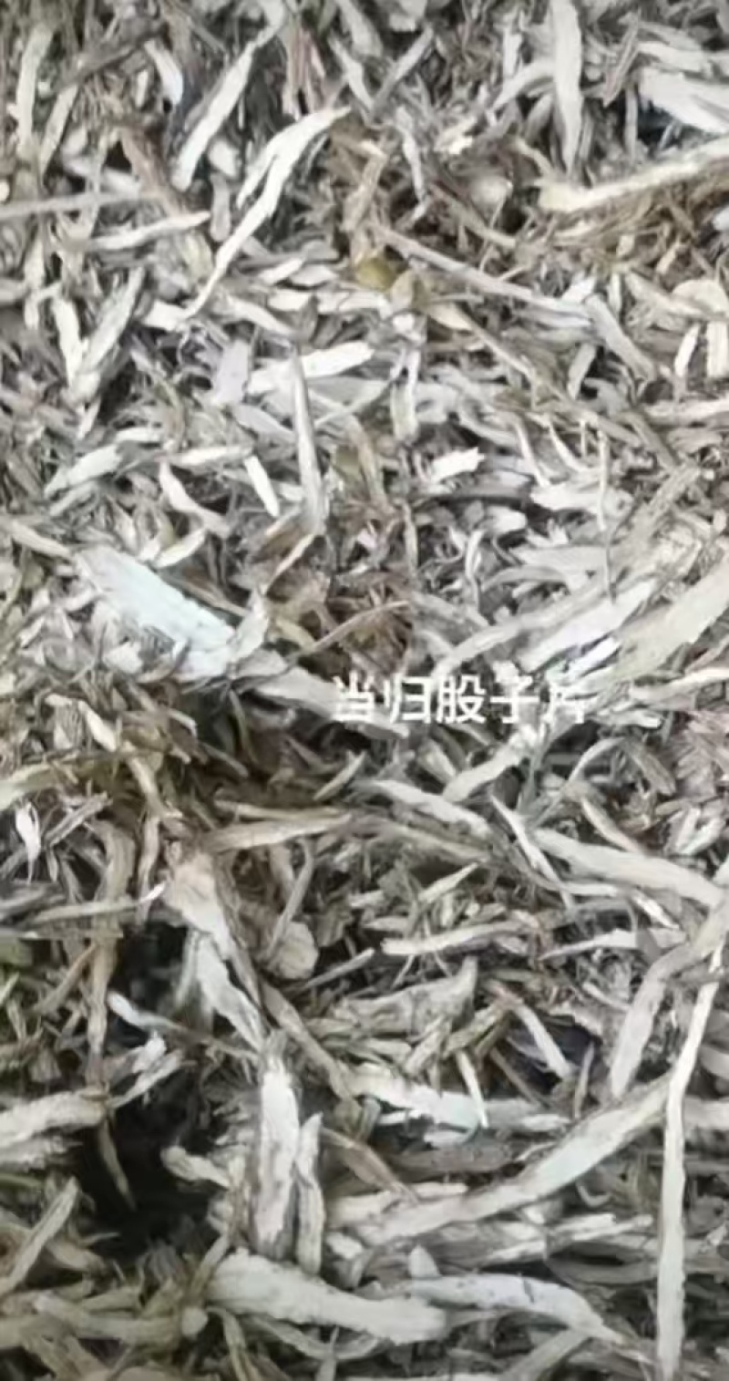 【当归】规格齐全货源充足量大从优1000以上市场价