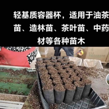 育苗基质杯