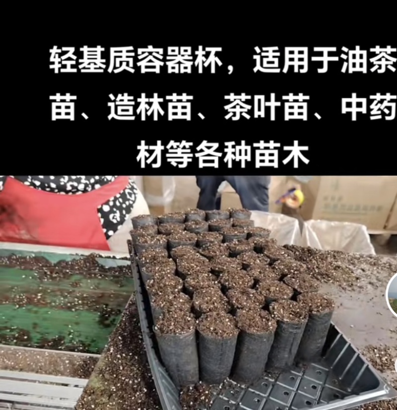 育苗基质杯