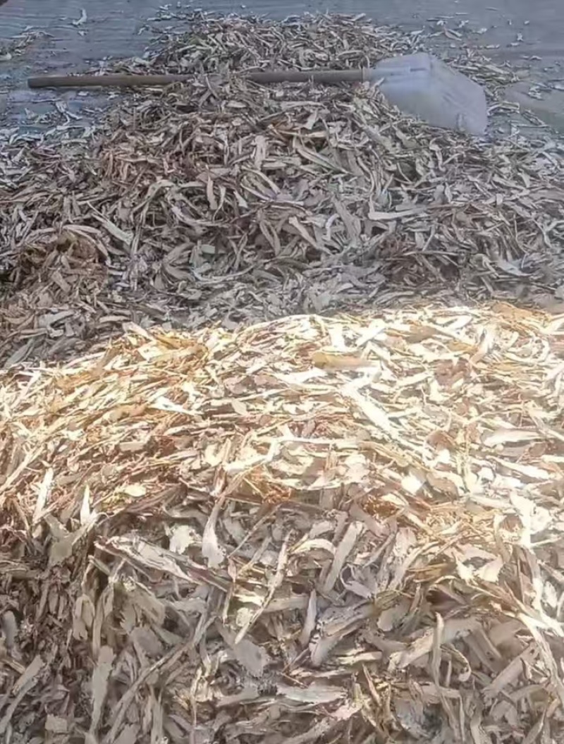 独活头片、独活节子片规格齐全货源充足量大从优
