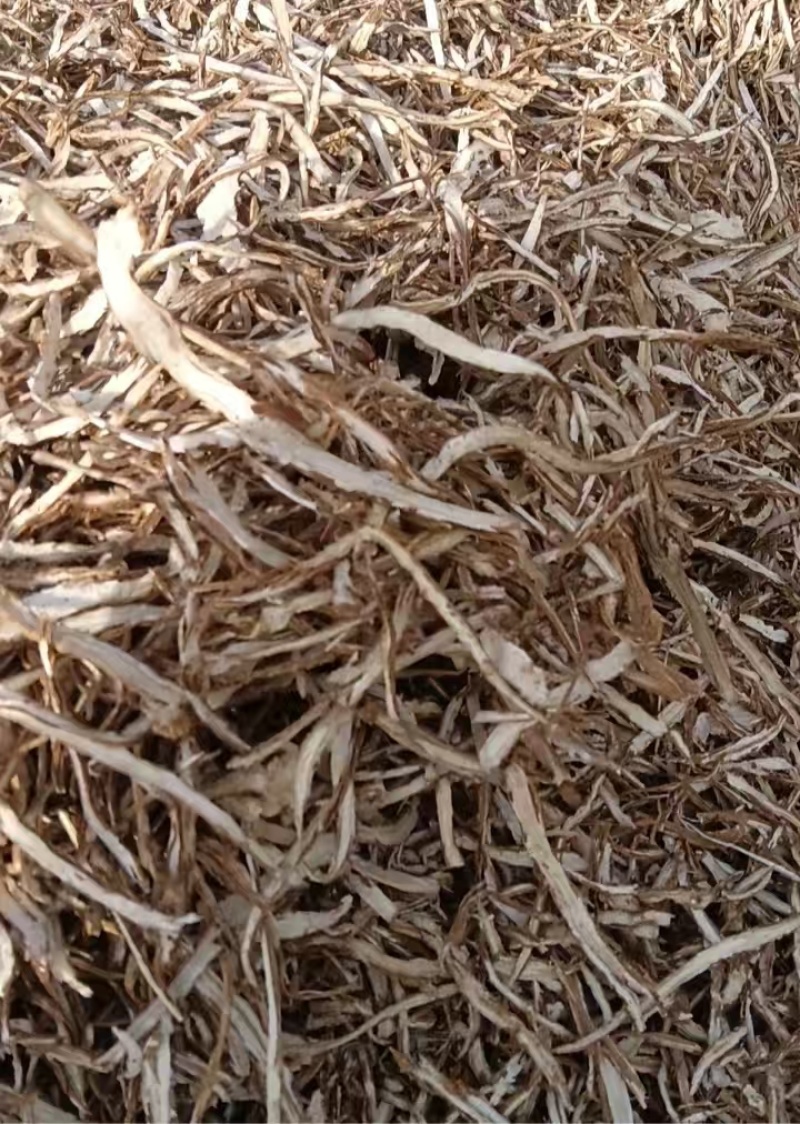 独活头片、独活节子片规格齐全货源充足量大从优