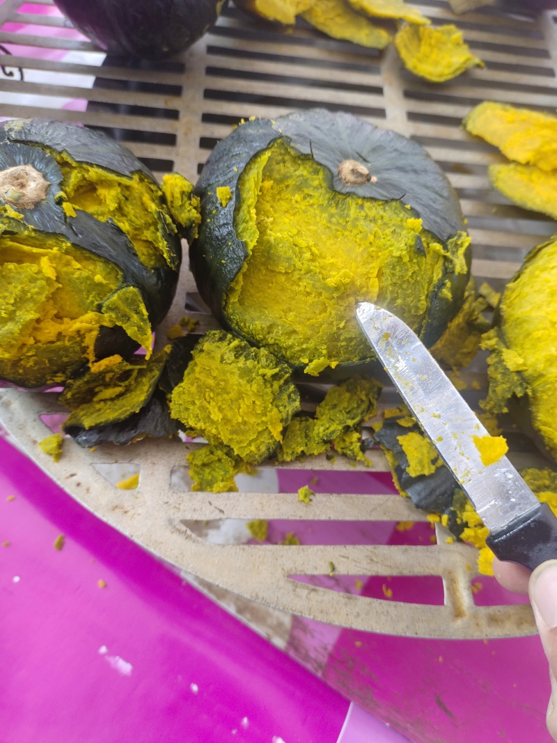 【精品推荐】贝贝南瓜大量有货一手货源欢迎新老客户