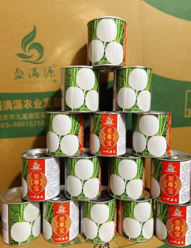 公司直发早熟杂交圆白萝卜种子至尊宝