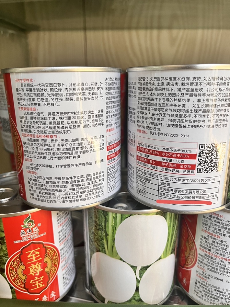 公司直发早熟杂交圆白萝卜种子至尊宝