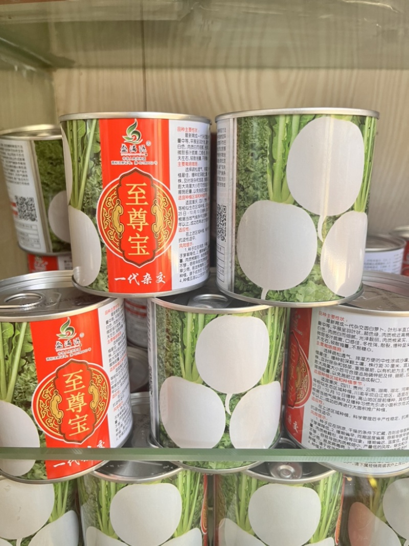 公司直发早熟杂交圆白萝卜种子至尊宝