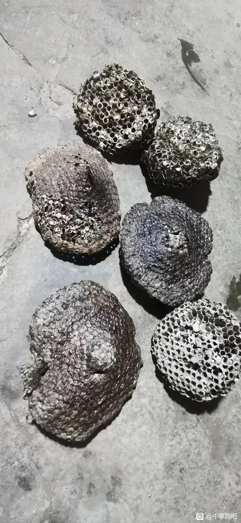 软蜂窝