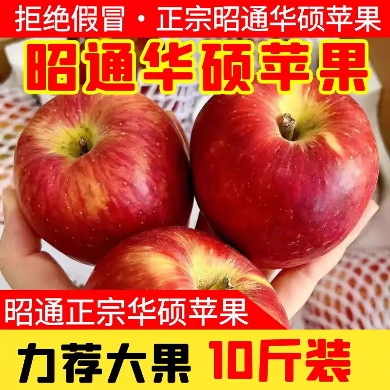 《华硕苹果》昭通高山苹果/自家种植，可一件代发/整车供应