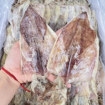 鱿鱼干