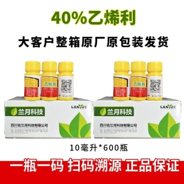 兰月40%乙烯利催熟剂香蕉芒果番茄柿子核桃脱皮植物