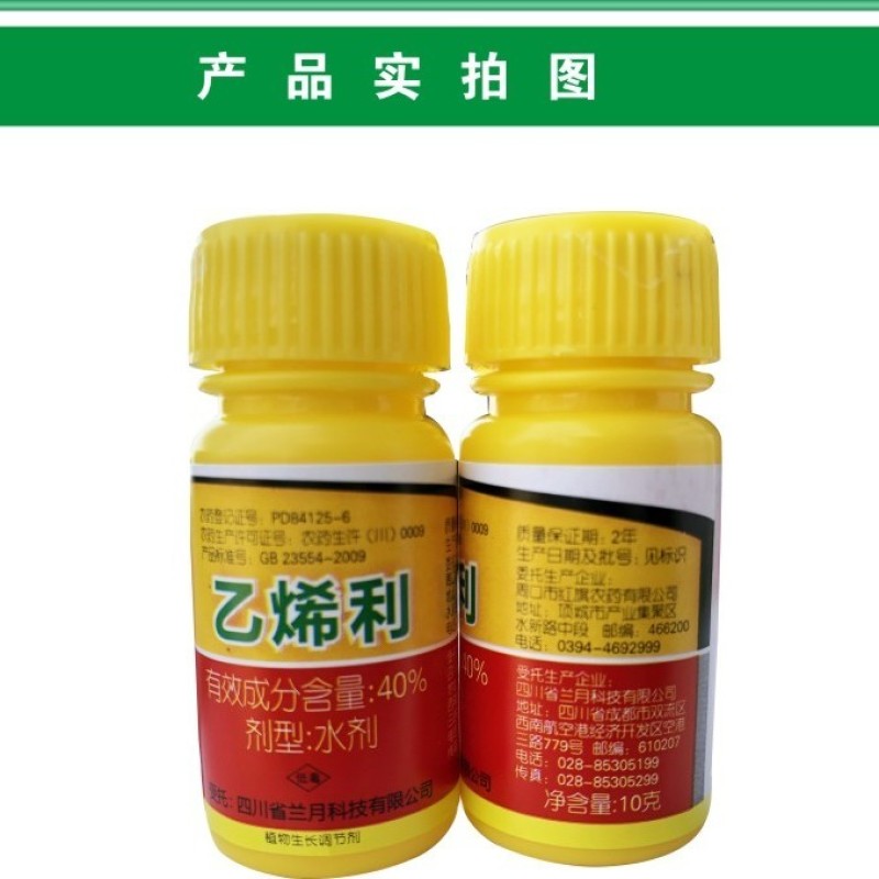 兰月40%乙烯利催熟剂香蕉芒果番茄柿子核桃脱皮植物