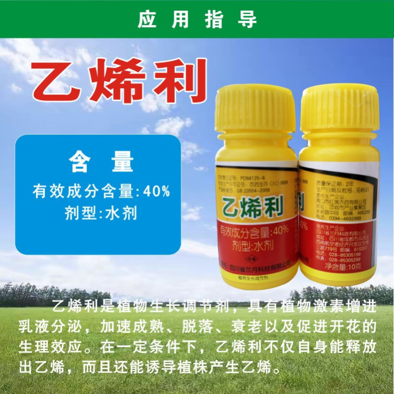 兰月40%乙烯利催熟剂香蕉芒果番茄柿子核桃脱皮植物