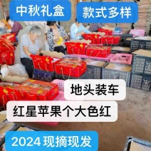 【礼品】红星苹果新红星红将军中秋礼品果代收代发