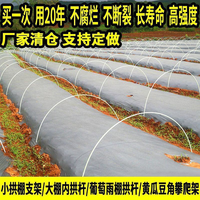 1000根大棚骨架玻璃纤维新型小拱棚支架地膜蔬菜棚拱杆玻