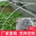 1000根大棚骨架玻璃纤维新型小拱棚支架地膜蔬菜棚拱杆玻