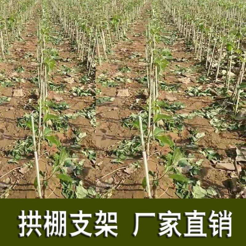 1000根大棚骨架玻璃纤维新型小拱棚支架地膜蔬菜棚拱杆玻