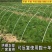 1000根大棚骨架玻璃纤维新型小拱棚支架地膜蔬菜棚拱杆玻