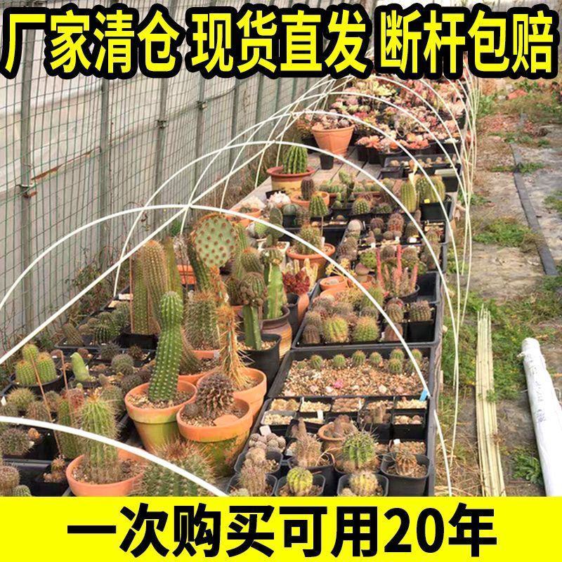 1000根大棚骨架玻璃纤维新型小拱棚支架地膜蔬菜棚拱杆玻
