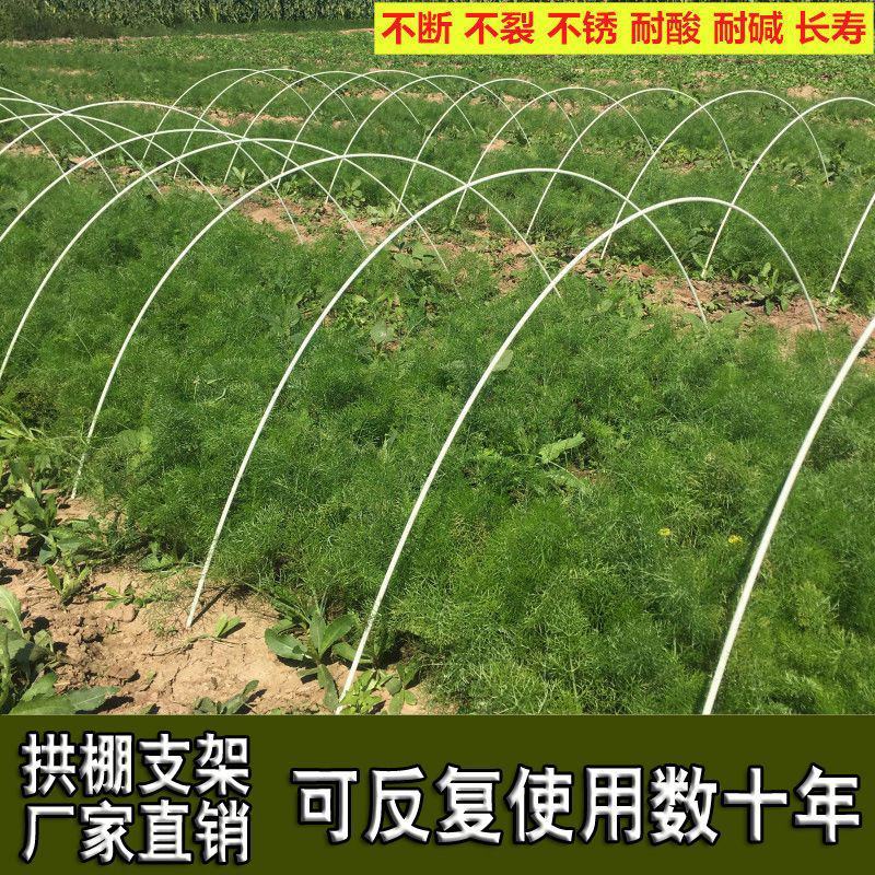 1000根大棚骨架玻璃纤维新型小拱棚支架地膜蔬菜棚拱杆玻