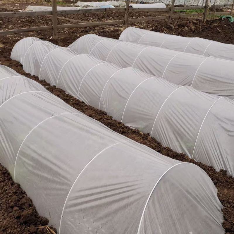 1000根大棚骨架玻璃纤维新型小拱棚支架地膜蔬菜棚拱杆玻