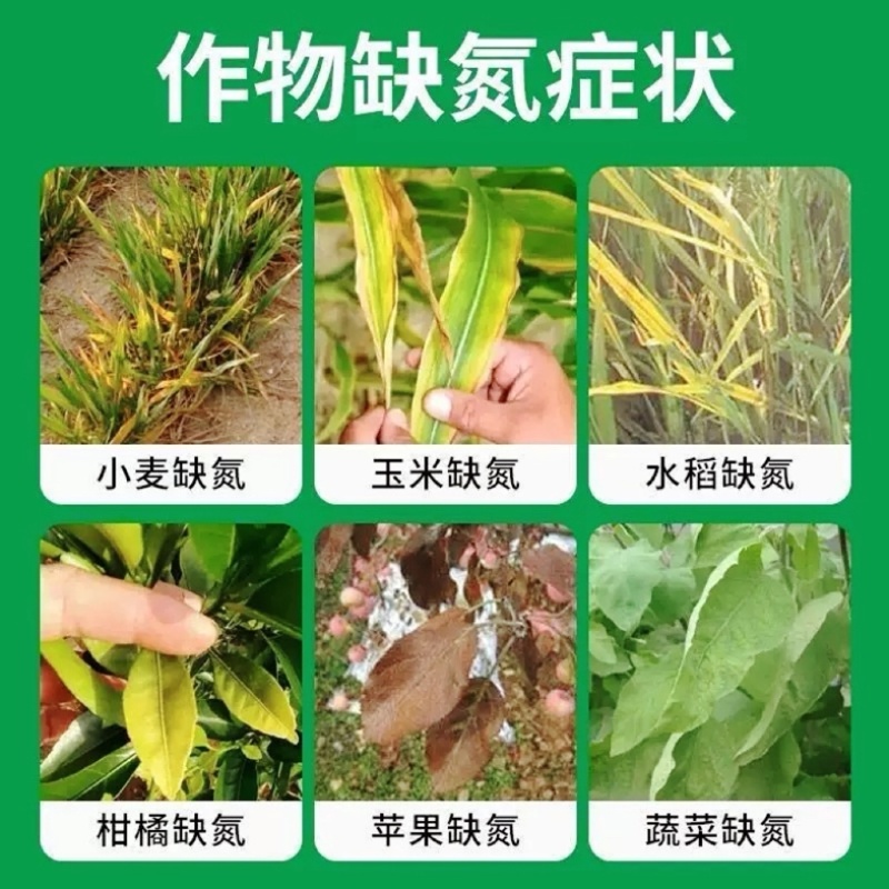 神农弹液体缓释高氮水溶肥小麦玉米水稻蔬菜果树通用液体尿素