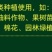 神农弹液体缓释高氮水溶肥小麦玉米水稻蔬菜果树通用液体尿素