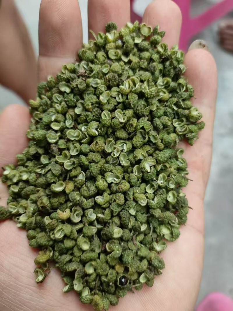 中国青花椒**县，金阳县