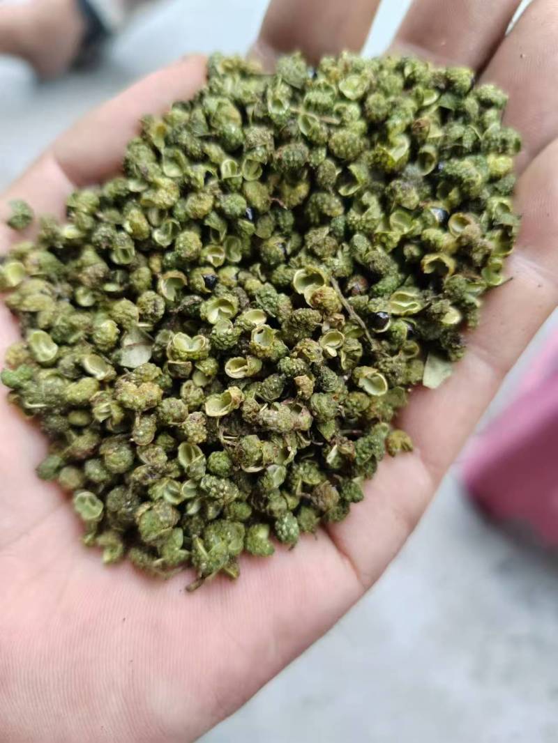 中国青花椒**县，金阳县