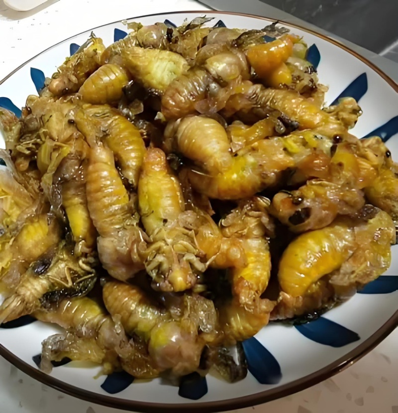 白蝉银蝉